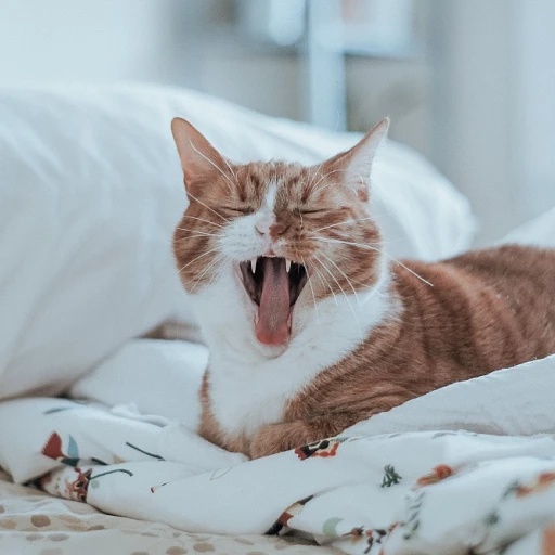 Élever Ensemble: Comment Harmoniser la Coexistence entre Chats et Enfants