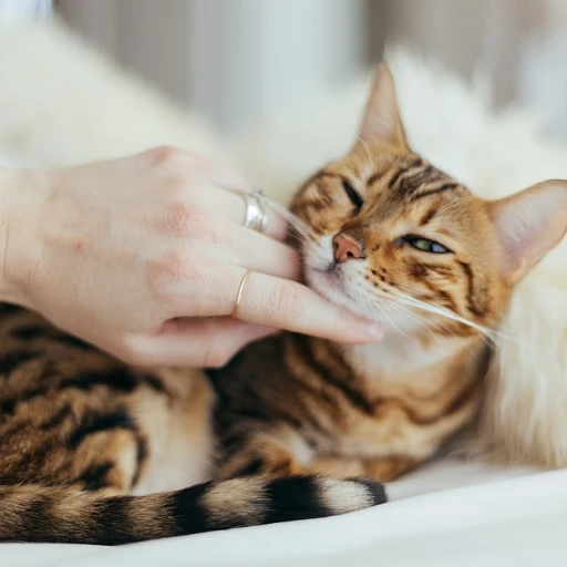 Tout savoir sur la chatte : conseils et astuces pour bien s'en occuper